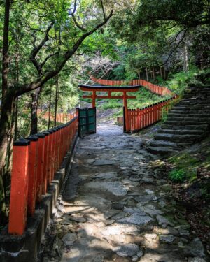 SHOCK EYE Instagram - 熊野を訪れたら必ず行ってほしいところ。
それは神倉神社⛩️

なぜならば、
熊野大神が熊野三山として祀られるよりも前、
一番最初に神様が降臨したとされる場所だから✨ 

天ノ磐盾という険しい崖の上に鎮座し、
その御神体はゴトビキ岩と呼ばれる大きな磐座。
いかにも聖地という感じだ。

ここで行われる御神事、、御燈祭りは、
松明を持った男たちが538段の急な階段を駆け下るそう。
いつかこの目でみてみたい🔥✨

急な階段が本当に険しいけれど、登った甲斐のある素晴らしい神社さんでした。
この日は光もすごかったしなあ。

皆さんにも、
是非、巨石のパワーを直に感じてみてほしいな^ ^

#神倉神社 #熊野大社 #パワースポット