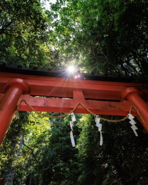 SHOCK EYE Instagram - 熊野を訪れたら必ず行ってほしいところ。
それは神倉神社⛩️

なぜならば、
熊野大神が熊野三山として祀られるよりも前、
一番最初に神様が降臨したとされる場所だから✨ 

天ノ磐盾という険しい崖の上に鎮座し、
その御神体はゴトビキ岩と呼ばれる大きな磐座。
いかにも聖地という感じだ。

ここで行われる御神事、、御燈祭りは、
松明を持った男たちが538段の急な階段を駆け下るそう。
いつかこの目でみてみたい🔥✨

急な階段が本当に険しいけれど、登った甲斐のある素晴らしい神社さんでした。
この日は光もすごかったしなあ。

皆さんにも、
是非、巨石のパワーを直に感じてみてほしいな^ ^

#神倉神社 #熊野大社 #パワースポット