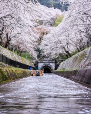 SHOCK EYE Instagram - ここには収まらないくらい沢山の絶景を
 @shockeye_shrinegram と共に観てきた^ ^
そして何よりこのアカウントの皆さんが喜ぶ声が聞きたくて、、、
まだまだ見せたい景色が絶景が沢山ある。
僕の元気が続く限り、
どうぞお付き合いください✨

#絶景 #パワースポット #shrinegram