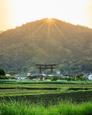 SHOCK EYE Instagram - ここには収まらないくらい沢山の絶景を
 @shockeye_shrinegram と共に観てきた^ ^
そして何よりこのアカウントの皆さんが喜ぶ声が聞きたくて、、、
まだまだ見せたい景色が絶景が沢山ある。
僕の元気が続く限り、
どうぞお付き合いください✨

#絶景 #パワースポット #shrinegram