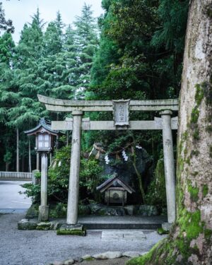 SHOCK EYE Instagram - 全国約3000社ある白山神社の総本社であり、
加賀国の一の宮である、白山比咩神社⛩️
白山（標高2,702m）を御神体とする白山信仰を代表する神社で、
僕が思う最高峰の神社の一つだ。

御祭神は、菊理媛命（ククリヒメノミコト）✨
古事記や日本書紀の正伝には登場せず、日本書紀を注釈するような外伝（異伝）に一度だけ登場する謎多き女神である。
国産みの夫婦神、イザナギ、イザナミを仲直りさせた神と言い伝えられ、菊理媛の「くくり」は「括る」にもつながり、現在は「和合の神」「縁結びの神」としても崇敬を受けているよ。

いつかは登拝したい白山、その頂上にある奥宮。
もちろん訪れるのは簡単ではないので、境内には白山に向けて建てられた遥拝所がある。
以前そこで写真を撮ったら、なんともありがたい光が写った✨
いつか必ず奥宮へ行くことを誓い手を合わせてきたよ🙏
そういえば、この日は突然、雨に降られ、そしてすぐ止んだり、なんだか不思議な体験もあったけれど、そのおかげで恵みを受けた瑞々しい自然のパワーをより強く感じることができた✨

一の宮巡りをはじめたので、また必ず訪れたい場所。
その時は奥宮に行きたいな^^ ^

#白山比咩神社 #白山神社 #一の宮巡り #パワースポット
