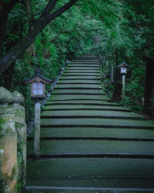 SHOCK EYE Instagram - 全国約3000社ある白山神社の総本社であり、
加賀国の一の宮である、白山比咩神社⛩️
白山（標高2,702m）を御神体とする白山信仰を代表する神社で、
僕が思う最高峰の神社の一つだ。

御祭神は、菊理媛命（ククリヒメノミコト）✨
古事記や日本書紀の正伝には登場せず、日本書紀を注釈するような外伝（異伝）に一度だけ登場する謎多き女神である。
国産みの夫婦神、イザナギ、イザナミを仲直りさせた神と言い伝えられ、菊理媛の「くくり」は「括る」にもつながり、現在は「和合の神」「縁結びの神」としても崇敬を受けているよ。

いつかは登拝したい白山、その頂上にある奥宮。
もちろん訪れるのは簡単ではないので、境内には白山に向けて建てられた遥拝所がある。
以前そこで写真を撮ったら、なんともありがたい光が写った✨
いつか必ず奥宮へ行くことを誓い手を合わせてきたよ🙏
そういえば、この日は突然、雨に降られ、そしてすぐ止んだり、なんだか不思議な体験もあったけれど、そのおかげで恵みを受けた瑞々しい自然のパワーをより強く感じることができた✨

一の宮巡りをはじめたので、また必ず訪れたい場所。
その時は奥宮に行きたいな^^ ^

#白山比咩神社 #白山神社 #一の宮巡り #パワースポット