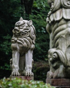 SHOCK EYE Instagram - 全国約3000社ある白山神社の総本社であり、
加賀国の一の宮である、白山比咩神社⛩️
白山（標高2,702m）を御神体とする白山信仰を代表する神社で、
僕が思う最高峰の神社の一つだ。

御祭神は、菊理媛命（ククリヒメノミコト）✨
古事記や日本書紀の正伝には登場せず、日本書紀を注釈するような外伝（異伝）に一度だけ登場する謎多き女神である。
国産みの夫婦神、イザナギ、イザナミを仲直りさせた神と言い伝えられ、菊理媛の「くくり」は「括る」にもつながり、現在は「和合の神」「縁結びの神」としても崇敬を受けているよ。

いつかは登拝したい白山、その頂上にある奥宮。
もちろん訪れるのは簡単ではないので、境内には白山に向けて建てられた遥拝所がある。
以前そこで写真を撮ったら、なんともありがたい光が写った✨
いつか必ず奥宮へ行くことを誓い手を合わせてきたよ🙏
そういえば、この日は突然、雨に降られ、そしてすぐ止んだり、なんだか不思議な体験もあったけれど、そのおかげで恵みを受けた瑞々しい自然のパワーをより強く感じることができた✨

一の宮巡りをはじめたので、また必ず訪れたい場所。
その時は奥宮に行きたいな^^ ^

#白山比咩神社 #白山神社 #一の宮巡り #パワースポット