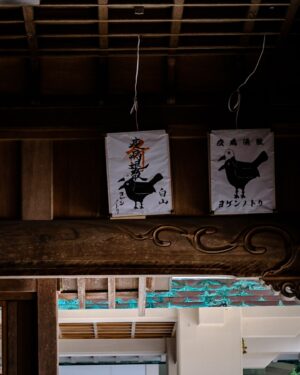 SHOCK EYE Instagram - 全国約3000社ある白山神社の総本社であり、
加賀国の一の宮である、白山比咩神社⛩️
白山（標高2,702m）を御神体とする白山信仰を代表する神社で、
僕が思う最高峰の神社の一つだ。

御祭神は、菊理媛命（ククリヒメノミコト）✨
古事記や日本書紀の正伝には登場せず、日本書紀を注釈するような外伝（異伝）に一度だけ登場する謎多き女神である。
国産みの夫婦神、イザナギ、イザナミを仲直りさせた神と言い伝えられ、菊理媛の「くくり」は「括る」にもつながり、現在は「和合の神」「縁結びの神」としても崇敬を受けているよ。

いつかは登拝したい白山、その頂上にある奥宮。
もちろん訪れるのは簡単ではないので、境内には白山に向けて建てられた遥拝所がある。
以前そこで写真を撮ったら、なんともありがたい光が写った✨
いつか必ず奥宮へ行くことを誓い手を合わせてきたよ🙏
そういえば、この日は突然、雨に降られ、そしてすぐ止んだり、なんだか不思議な体験もあったけれど、そのおかげで恵みを受けた瑞々しい自然のパワーをより強く感じることができた✨

一の宮巡りをはじめたので、また必ず訪れたい場所。
その時は奥宮に行きたいな^^ ^

#白山比咩神社 #白山神社 #一の宮巡り #パワースポット
