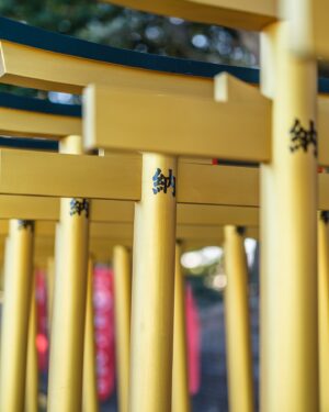 SHOCK EYE Instagram - 早朝に訪れたほしいも神社⛩️

特徴的な金色の鳥居が朝日に照らされてキランキラン✨
令和になって建てられた新しいこの神社は、
茨城県の特産品である”ほしいも”。
その生産者や地元の人々が神の恵みや社会に対する感謝を、神社の創建を通してあらわし、ほしいも造りを続けられるように祈念して作られたそう。

ここでは、
“ほしいも”と”ほしいもの”をかけて、
参拝者の欲しいものが手に入りますように、と日々祈念している。

皆さんの、”欲しいもの”が手に入りますように🙏✨

あれから鳥居も増えたのかな？

#ほしいも神社 #ほしいもの #堀出神社 #茨城県