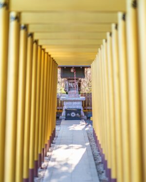 SHOCK EYE Instagram - 早朝に訪れたほしいも神社⛩️

特徴的な金色の鳥居が朝日に照らされてキランキラン✨
令和になって建てられた新しいこの神社は、
茨城県の特産品である”ほしいも”。
その生産者や地元の人々が神の恵みや社会に対する感謝を、神社の創建を通してあらわし、ほしいも造りを続けられるように祈念して作られたそう。

ここでは、
“ほしいも”と”ほしいもの”をかけて、
参拝者の欲しいものが手に入りますように、と日々祈念している。

皆さんの、”欲しいもの”が手に入りますように🙏✨

あれから鳥居も増えたのかな？

#ほしいも神社 #ほしいもの #堀出神社 #茨城県