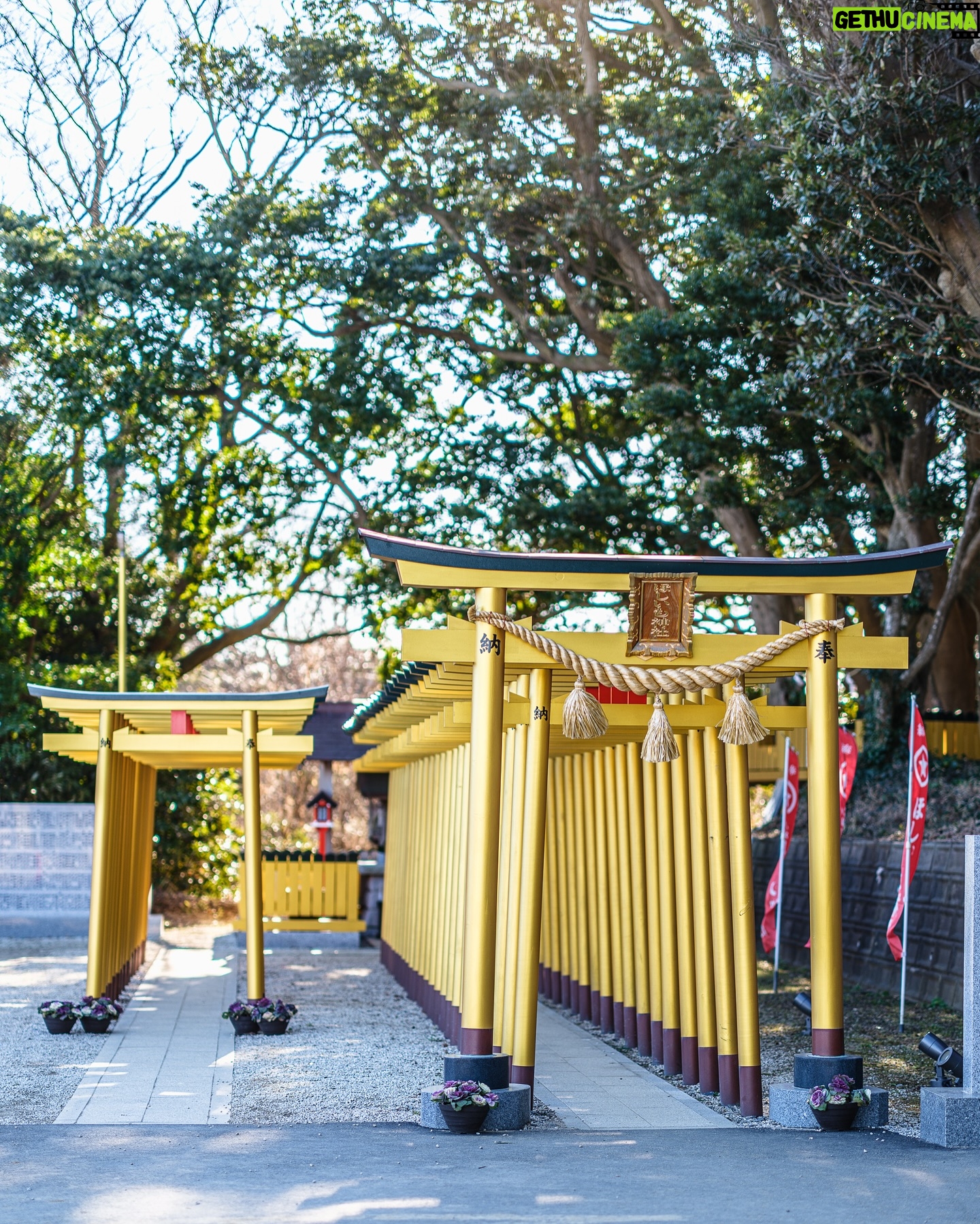 SHOCK EYE - 44.4K Likes - 早朝に訪れたほしいも神社⛩️
特徴的な金色の鳥居が朝日に照らされてキランキラン✨
令和になって建てられた新しいこの神社は、
茨城県の特産品である”ほしいも”。
その生産者や地元の人々が神の恵みや社会に対する感謝を、神社の創建を通してあらわし、ほしいも造りを続けられるように祈念して作られたそう。
ここでは、
“ほしいも”と”ほしいもの”をかけて、
参拝者の欲しいものが手に入りますように、と日々祈念している。
皆さんの、”欲しいもの”が手に入りますように🙏✨
あれから鳥居も増えたのかな?
#ほしいも神社 #ほしいもの #堀出神社 #茨城県