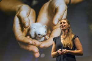 Saba Douglas-Hamilton Instagram - Have just got back from the 17th @ffnfoundation award event in Arnhem, where Callie Veelenturf @callieveelenturf, Hana Weaver @hana.weaver, and Rinzin Phunjok Lama (instalink "rinzinplama" isnt working) won the Future for Nature award, an exquisite crystal raindrop encircled by three bronze tree frogs. 

Their extraordinary efforts convincing Panama and Ecuador to adopt "rights of nature" legislation to protect leatherback turtles and all other wildlife; hauling the last 19 individuals of the Puerto Rican sharp-shinned hawk back from the brink of extinction; and scaling 5000 metre mountains year round, incl. in the depths of winter, to protect snow leopards in Nepal, have floored me. Am beyond thrilled and deeply honoured to have been able to welcome them to the Future For Nature family ❤️ ♥️ 💜