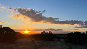 Saba Douglas-Hamilton Instagram - Magical evening in Santa Fe! Hummingbirds, humid earth post rain, and an exquisite sunset.