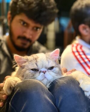 Sabareesh Sajjin Instagram - Catering boys
. 
. 
. 
📸: @strom.ae 😺