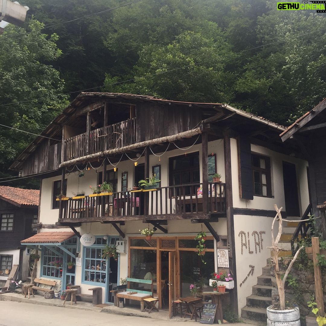 Sabriye Günüç - 276 Likes - Şiveli topraklar... Şive(ağız) araştırmaları dökümanter #şivetatilim #karadenizbölgesi #rize,çamlıhemşin #engebeliarazi #çaytoplayuruz #sündüsteyzem #şivekoçu