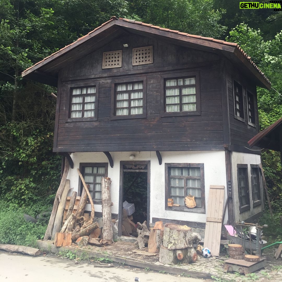 Sabriye Günüç - 276 Likes - Şiveli topraklar... Şive(ağız) araştırmaları dökümanter #şivetatilim #karadenizbölgesi #rize,çamlıhemşin #engebeliarazi #çaytoplayuruz #sündüsteyzem #şivekoçu