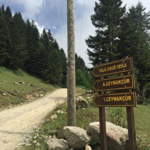Sabriye Günüç Instagram - Şiveli topraklar... Şive(ağız) araştırmaları dökümanter  #karadenizbölgesi #şivekoçu #şivetatilim #rize,çamlıhemşin,ayder yaylası