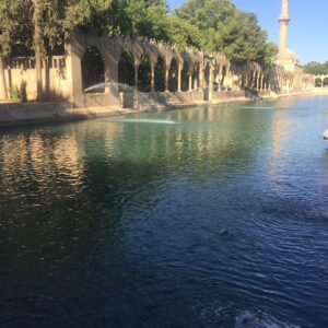 Sabriye Günüç Instagram - Şiveli topraklar... Şive(ağız) araştırmaları dökümanter  #şive tatili #kültürel miras #şanlıurfa #güneydoğuanadolu #balıklıgöl #şivekoçu