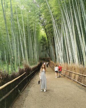 Sae Maeda Instagram - What a week it has been🦌⛩🎋
#kyoto #nara