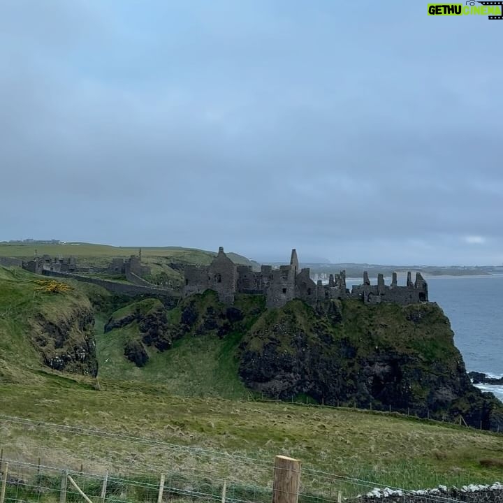 Saffron Burrows - 653 Likes - spent #EarthDay amidst the green of the #causewaycoast off the grid which seemed appropriate… let’s look after this majestic planet. @greenpeace @greenpeaceuk @greenpeaceusa 💚