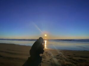 Sahel Rosa Instagram - 大事な花束を海へ

仲間に
約束果たせなかったけど
アナタには
会えた気がした

大事な仲間
見守っていてね

そちらに行く前にやり残したこと
山積みだから

待っていてね。

と誓った
前にはなかなか進めないけど
なんだか前よりは後退りが短い

乗り越えられない悲しみは
大事に乗り越えずに
横に添えた

たーちゃん
つれてきてくれて
本当にありがとうございます。