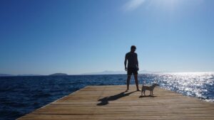 Şahin Irmak Instagram - Ortalama bir köpek ortalama bir insandan daha iyidir.