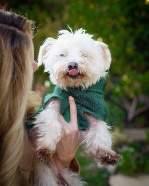 Sally Pressman Instagram - 💔💔
Joey,
 We knew you were part of our family from the first time we met you. You had been through so much and yet were standing strong with a smile, looking for love. We should have known then what a world class fighter you are. A couple years ago, we found out that of all ailments, you had a heart that was too big. Your heart was too big. And it came as no surprise to us at all.
 We took you to the Hamptons, to Cabo, to Montana, to Ojai…to everywhere. We hope we showed you the world and we hope we showed you what love and care and kindness are. 
  I’m so sorry we couldn’t give you immortality. For us, you are immortal. We love you so much. Our hearts are broken 🌈🌈🌈