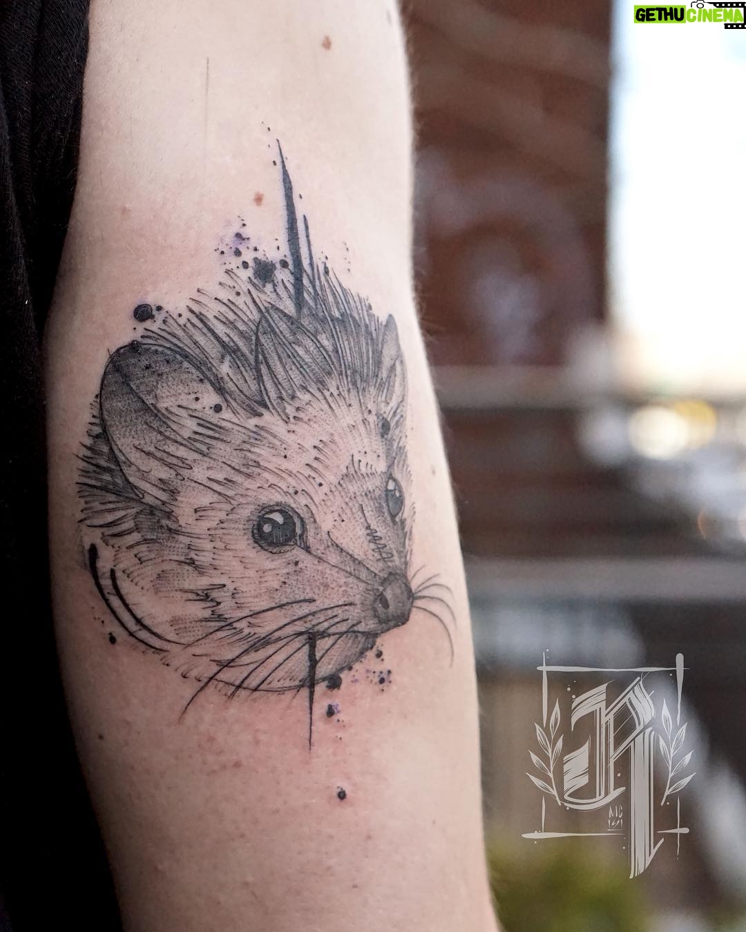 Sam Breton - 1.3K Likes - Mon Henri dans le cœur et maintenant... dans la peau 🦔❤️😉Merci @rodtattoomtl @laplanque_mtl 👌😍#herisson #hedgehog