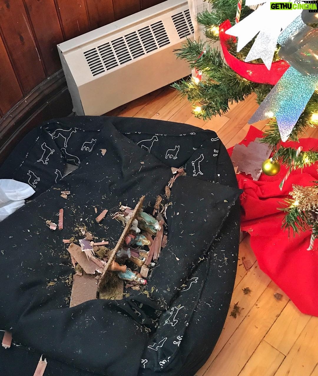 Sam Breton - 1.1K Likes - Le chien de ma belle-sœur fait dire qu'on s'en criss de la crèche...
.
#noel #joyeusesfetes #elleetaitneuve #leboeufenamangetouteune #lamagiedenoel