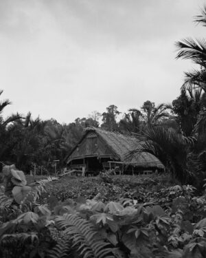 Sam Corlett Instagram - The Mentawai don’t have a concept of age or time … Life is simply happening.
They don’t have to believe in spirit … It simply exists in and around all things.

Film from March