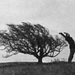 Sam Corlett