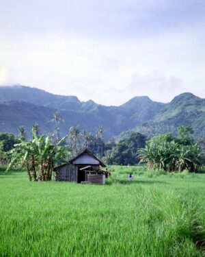 Sam Corlett Instagram - moments from indonesia i cherish