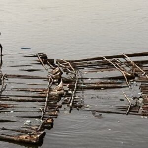 Sam Dede Instagram - Growing up as little boys, my friends and I preferred the streams and rivers to the very few swimming pools available.  The streams afforded an incredible  sense of nature,  freedom and the adventures that were associated with  it. Setting handmade traps for fishes,  crabs and birds.  Sometimes, our traps caught creatures we didn't bargain for. Monkeys  and Snakes!!! 😁

Taking a break while filming the movie, BROTHERHOOD at Makoko, Lagos, I filmed these little lads with reminiscence. My mind rolled right back to those days with my rugged, adventurous friends. 

Just like these little free spirits here,  life was for us to live it, and we were hopeful of the future. We never imagined that a day would come when history would record our country as a  space where dunces and dullards ruled. 

Even if I made this video myself, I have watched it no less than 20 times and my thoughts varied  each time....

You see, life was good and  easy.....like Sunday morning. 

I will really appreciate your  thoughts of this  video 📸 @samdedesdx