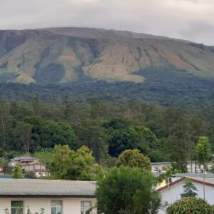 Sam Dede Instagram - Mongo ma Ndemi [Mountain of Greatness] is the indigenous name of the Cameroon Mountain. A towering 4,095 metres, (13, 435 ft) you'll have a sense of the mountain tumbling over you if you are in Buea, the southeastern slope of the mountain and home of the Cameroon International Film Festival [CAMIFF] @c.a.m.i.f.f 

 At sunrise and sunset, it is such an intriguing experience to watch as very thick clouds converge and form a spectrum of ever-evolving shapes and colours at the peak  of the mountain....Breathtaking! Mind blowing! Perhaps this is why this iconic  feature of Africa's natural landscape  is also known as CHARIOT OF THE GODS!!!

An excellent space to spend a..... 
 Sunday morning for  sure.....😎