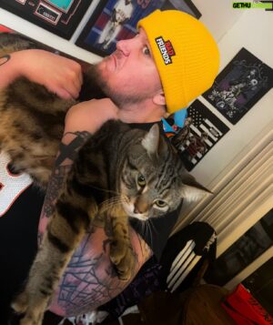 Sam Johnston Instagram - Big Kitty.

@badfriendspod