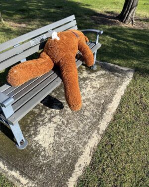 Sam Neill Instagram - The bear is back , first time in a few days . Still not talking . I just leave him to it , but he doesn’t look well