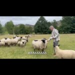 Sam Neill