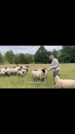 Sam Neill Instagram - MY GIRLS. Spot Annette Bening. Yes folks . The Word is Love .