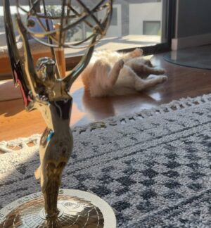 Sam Richardson Instagram - 🏆🐱🦁