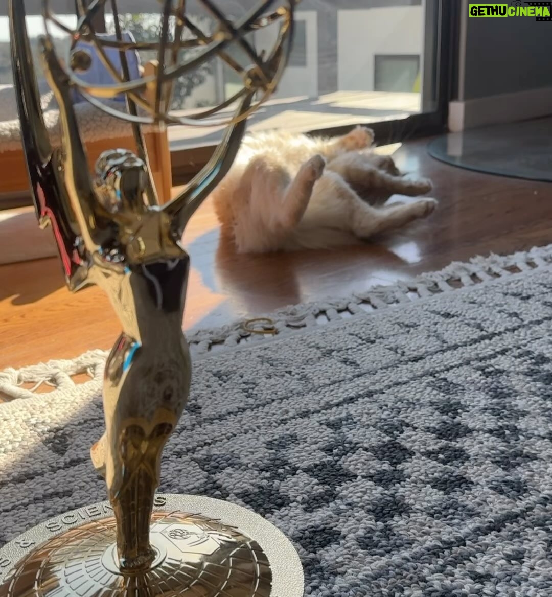 Sam Richardson - 35.7K Likes - 🏆🐱🦁