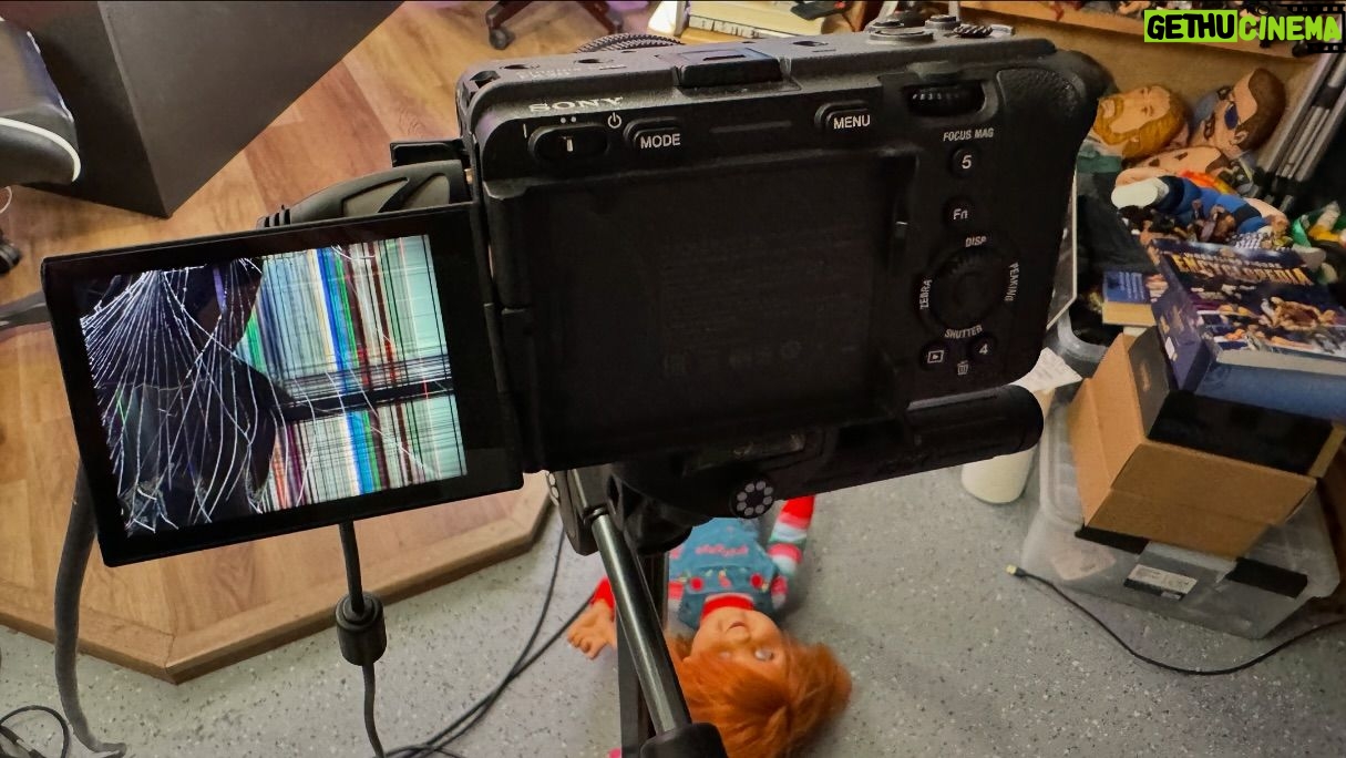 Sam Roberts - 171 Likes - One more host- one less camera. We are joined by @taylorstrecker this week on @satisfyingpodcast on a week where @mashupnicole literally destroyed equipment on her way in. Expensive equipment.
Up on YouTube at 11am et!