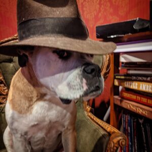 Sam Witwer Instagram - It's not the years...
...it's the mileage.

#IfAdventureHasAName #ItMustBe #Leonard #Walter #Buster #AmericanBulldog #PitBull #dogs #TheyOutNumberMe #TheyOutWeighMe  #strays #rescue #adoptdontshop🐾