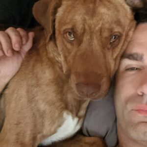 Sam Witwer Instagram - I set out to adopt 0 dogs.
I now have 3 dogs.

#adoptdontshop🐾 #strays #dontdumpyourdogs #Leonard #Leroy #Landru #Nimoy #Buster #Booter #MisterBootstraps #MisterStraps #Boosterrocketship #Walter #Walt #christophwaltz #MisterSqueaks #Pitbull #Bulldog #AmericanBulldog