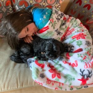 Samara Lee Instagram - I stole a pup. #happydogisminenow #givemeallthedogs