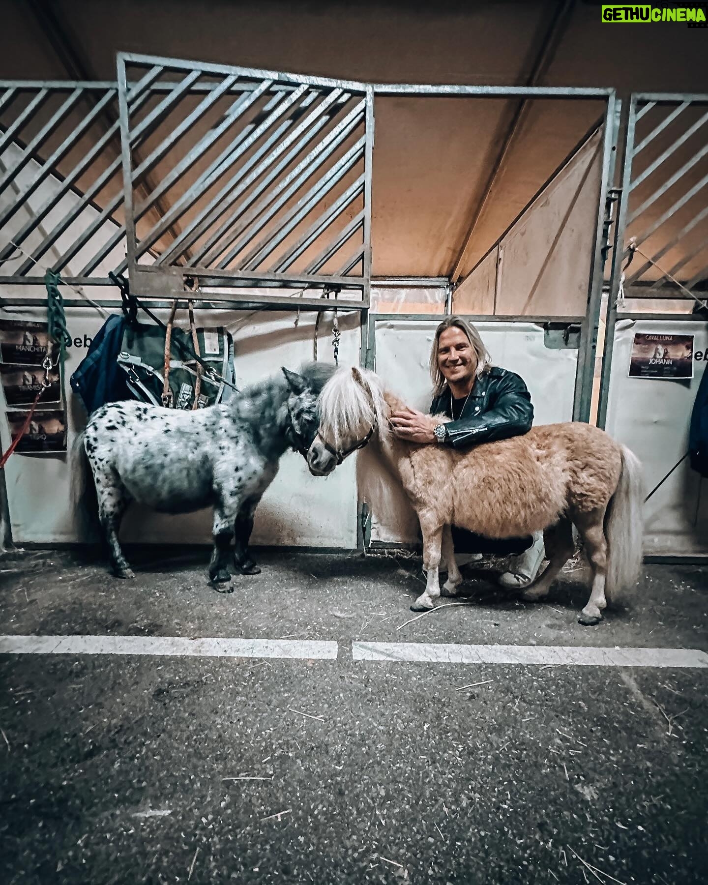 Sami Kuronen - 3.4K Likes - Kaupallinen yhteistyö ja arvonta! @livenationfi Cavallunan uusi Land of A Thousand Dreams -hevosshow saapuu Helsingin jäähalliin 11.–12.5.2024!
ARVONTA SUORITETTU!
Onnea Maria!
Päästiin Oonan kanssa kokemaan se Rotterdamissa jo ennakkoon. Reilu pari tuntia sujahti kuuluisana H-Moilasena monttu auki. Mieletöntä taituruutta noin 60 hevosen ja 30 huippuratsastajan voimin. Muina heppatyttöinä päästiin moikkaamaan myös itse tähtiä!
Sain lisäksi kaksi lippua Helsingin päivänäytökseen sunnuntaille 12.5. ja haluan arpoa ne nyt teidän kesken.
Kerro kommentteihin kolmella emojilla mikä sun fiilis on just nyt ja kenen kanssa haluaisit mennä ihastelemaan tätä spektaakkelia!
Arvonta suoritetaan ke 27.3.
Kiitos @cavalluna.official ja Oona @marivalosaari Mila ja @equestriannoranorrlin matkaseurasta🙏☀️
#cavalluna #equestrian #horses