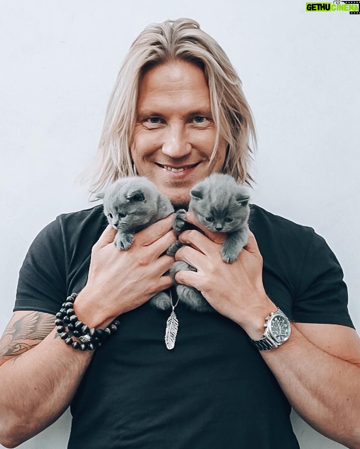 Sami Kuronen - 5.9K Likes - Viimeinen päivä yhdessä 😢 Pennut ovat tulleet luovutusikään ja siirtyvät huomenna uusiin koteihinsa. Ikimuistoinen kevät kun sain seurata aitiopaikalta sisarusten kasvua ja kehitystä.
Heistä on tullut lyhyessä ajassa valloittavia persoonia. Hilla on ollut alusta saakka oman tiensä kulkija. Rohkea tutkimusmatkailija. Siitä hetkestä kun ponnistusvoima mahdollisti sänkyyn hyppäämisen, on hän aamuisin ollut ekana nuuhkimalla selvittämässä ollaanko jo hereillä.
Olli on sydämellinen mammanpoika. Pohdiskeleva seuramies, joka tykkää mm. jääkiekosta ja viihtyy sylissä rapsuteltavana. Toisin kuin siskonsa, miettii ennen kuin tekee.
Tiedän jo nyt, että tulen kaipaamaan aamuja kun jälleennäkemisen riemusta kaikki kiehnäävät kehräten jaloissa. Iltoja kun hepulit eivät ota laantuekseen ja päiviä kun he nukkuvat toisiinsa kietoutuneina.
Kiitos Hilla ja Olli. Oli hauska tutustua❤️
@kurosenhilma @hyrinan