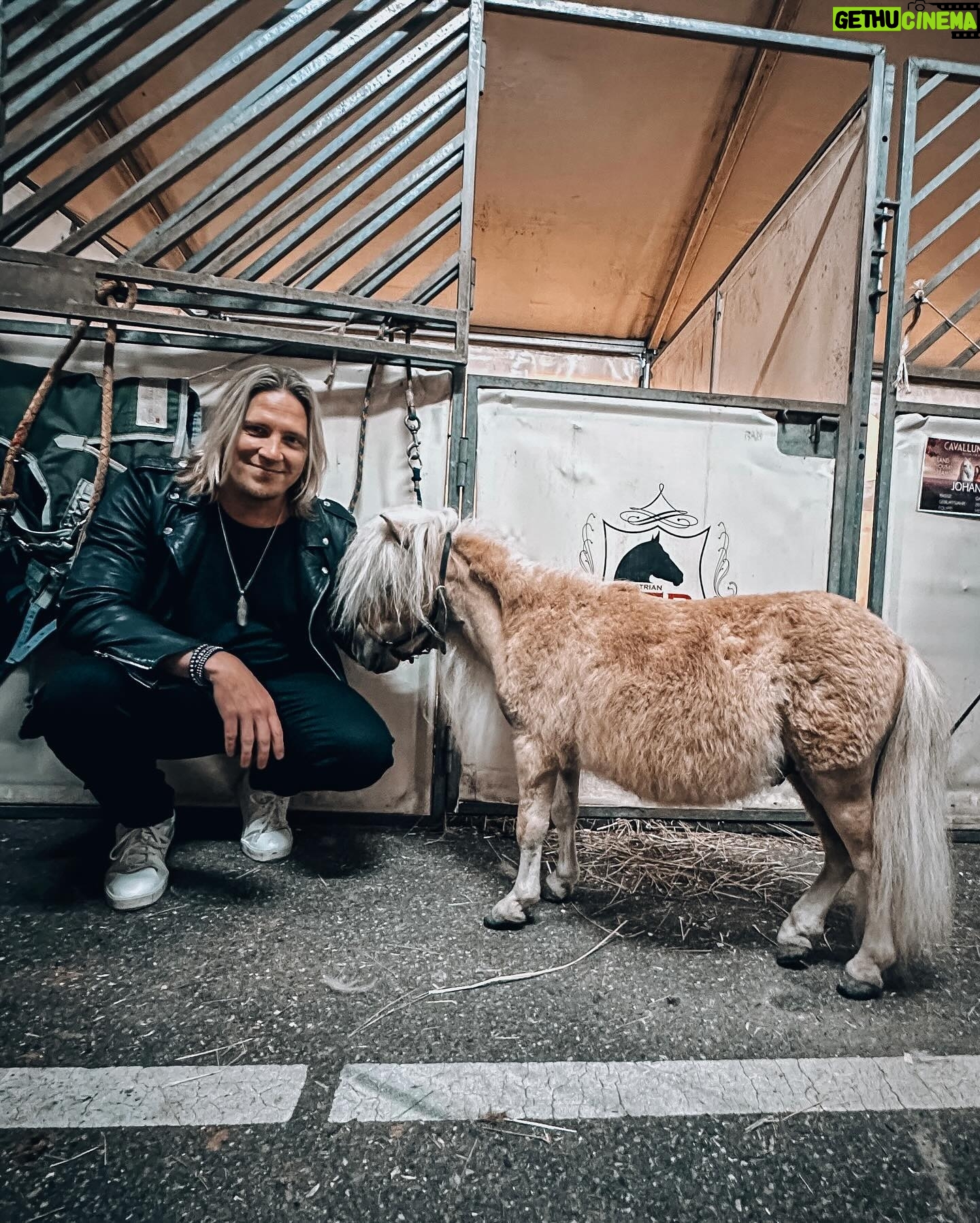 Sami Kuronen - 3.4K Likes - Kaupallinen yhteistyö ja arvonta! @livenationfi Cavallunan uusi Land of A Thousand Dreams -hevosshow saapuu Helsingin jäähalliin 11.–12.5.2024!
ARVONTA SUORITETTU!
Onnea Maria!
Päästiin Oonan kanssa kokemaan se Rotterdamissa jo ennakkoon. Reilu pari tuntia sujahti kuuluisana H-Moilasena monttu auki. Mieletöntä taituruutta noin 60 hevosen ja 30 huippuratsastajan voimin. Muina heppatyttöinä päästiin moikkaamaan myös itse tähtiä!
Sain lisäksi kaksi lippua Helsingin päivänäytökseen sunnuntaille 12.5. ja haluan arpoa ne nyt teidän kesken.
Kerro kommentteihin kolmella emojilla mikä sun fiilis on just nyt ja kenen kanssa haluaisit mennä ihastelemaan tätä spektaakkelia!
Arvonta suoritetaan ke 27.3.
Kiitos @cavalluna.official ja Oona @marivalosaari Mila ja @equestriannoranorrlin matkaseurasta🙏☀️
#cavalluna #equestrian #horses
