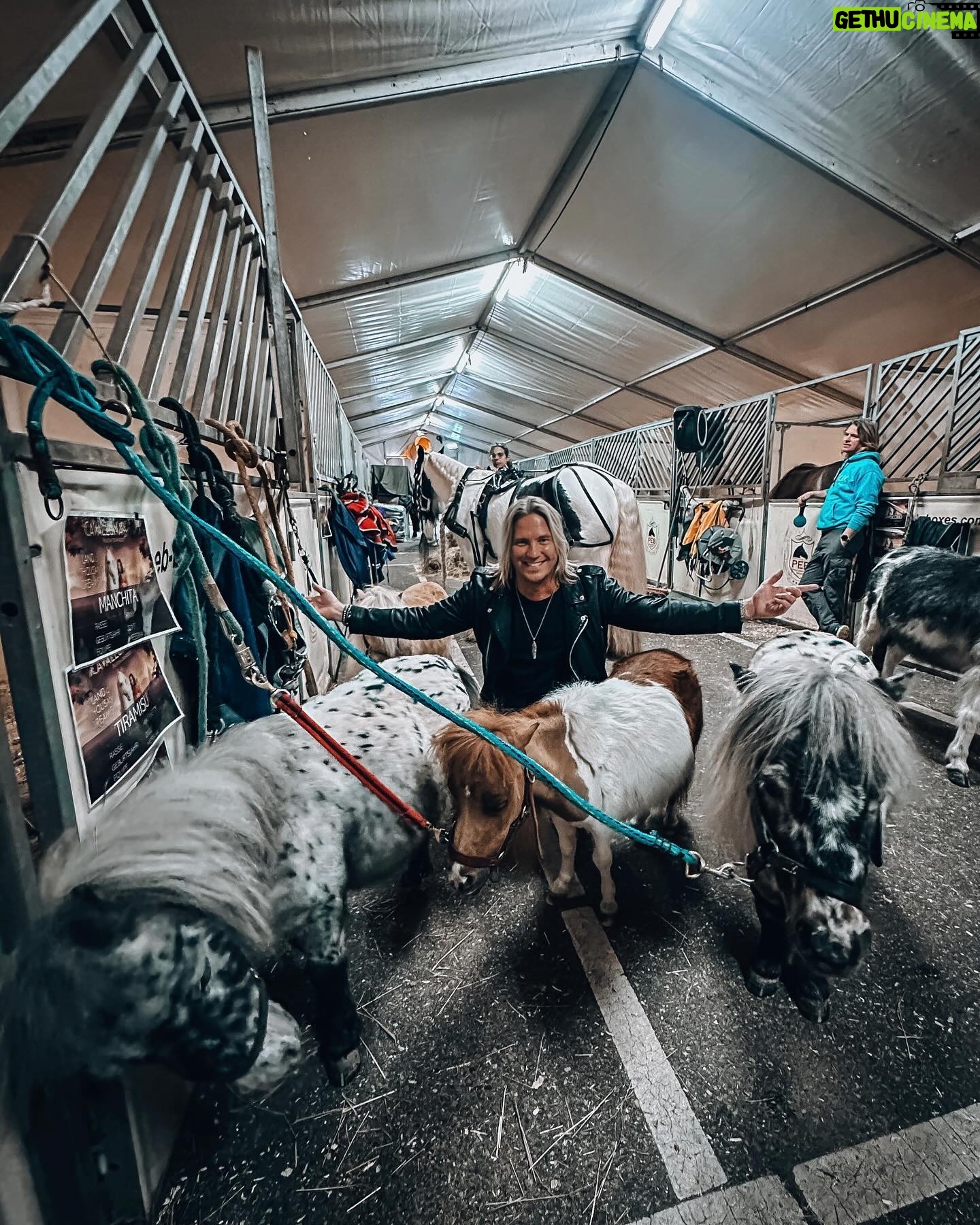 Sami Kuronen - 3.4K Likes - Kaupallinen yhteistyö ja arvonta! @livenationfi Cavallunan uusi Land of A Thousand Dreams -hevosshow saapuu Helsingin jäähalliin 11.–12.5.2024!
ARVONTA SUORITETTU!
Onnea Maria!
Päästiin Oonan kanssa kokemaan se Rotterdamissa jo ennakkoon. Reilu pari tuntia sujahti kuuluisana H-Moilasena monttu auki. Mieletöntä taituruutta noin 60 hevosen ja 30 huippuratsastajan voimin. Muina heppatyttöinä päästiin moikkaamaan myös itse tähtiä!
Sain lisäksi kaksi lippua Helsingin päivänäytökseen sunnuntaille 12.5. ja haluan arpoa ne nyt teidän kesken.
Kerro kommentteihin kolmella emojilla mikä sun fiilis on just nyt ja kenen kanssa haluaisit mennä ihastelemaan tätä spektaakkelia!
Arvonta suoritetaan ke 27.3.
Kiitos @cavalluna.official ja Oona @marivalosaari Mila ja @equestriannoranorrlin matkaseurasta🙏☀️
#cavalluna #equestrian #horses
