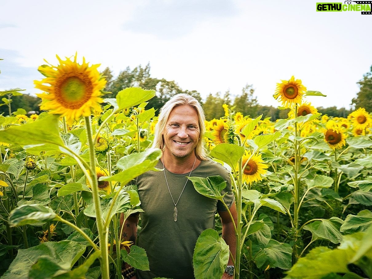 Sami Kuronen - 4K Likes - Kotvanen kukkien keskellä on harvoin hukkaan heitetty hetki 🌻
#sunflower #happy #moment