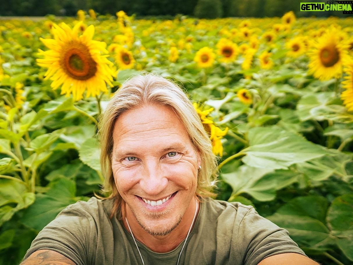 Sami Kuronen - 4K Likes - Kotvanen kukkien keskellä on harvoin hukkaan heitetty hetki 🌻
#sunflower #happy #moment