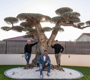 Samir Benzema Instagram - Installer un Olivier de 4 m de haut sur 6 m de large c’est fais 😍📍 Un grand merci à la société @un_jour_un_olivier 
Sans qui se projet n’aurait pas été possible. 

C’est bien   que des simples pépinières, vous avez des gens passionnés qui sauront vous conseiller pour vos projets et aménagements d’extérieurs. 

Ils ont des arbres d’exception que vous ne retrouverez nulle part ailleurs 

Un grand merci à vous ❤️

#olivier #pepiniere #home #sun