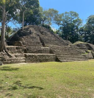 Sammy Sheik Instagram - For Rent: Cozy, breezy Mayan bachelor pad, with a great yard. No pet Jaguars allowed.... 🐆 #cahelpecharcheologicalreserve