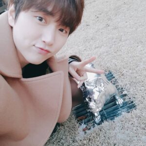 Sandeul Instagram - 안녕 강아지야? 혹시 망고아니?
너도 춥니?
#산들 #B1A4 #추워 #은빛 #강아지 #멍멍