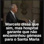Sandra Felgueiras